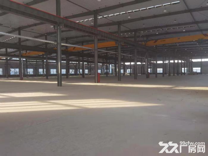 齐河经济开发区甲级新厂房出租！(整租、分租)均可-图3