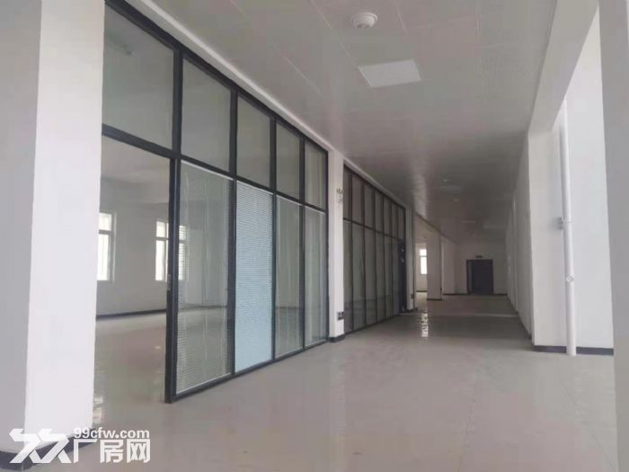齐河经济开发区甲级新厂房出租！(整租、分租)均可-图4